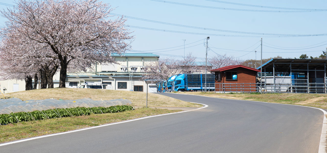 三和食鶏グループ会社近辺