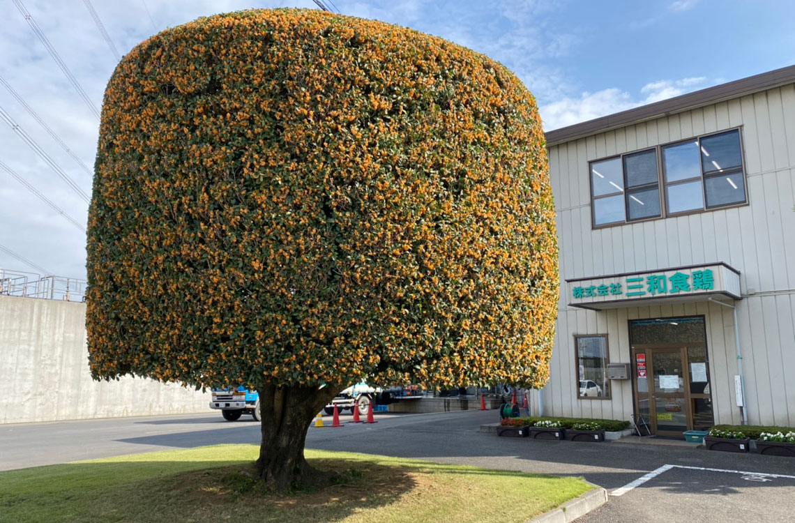 三和食鶏グループ会社前